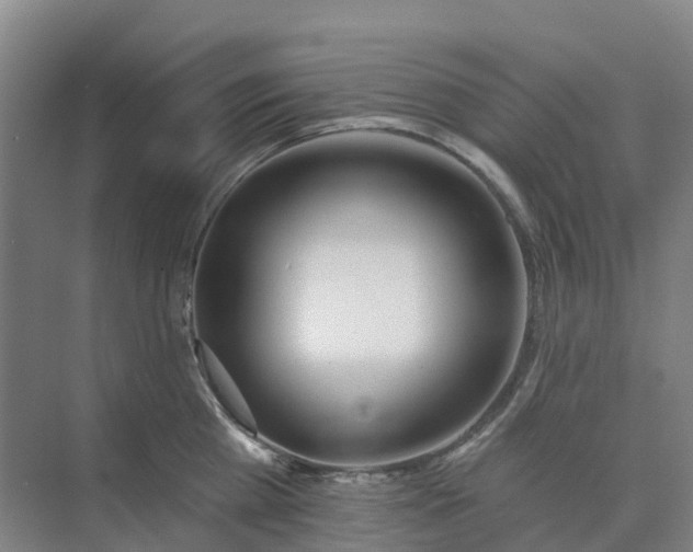 X0000074940809200609152003