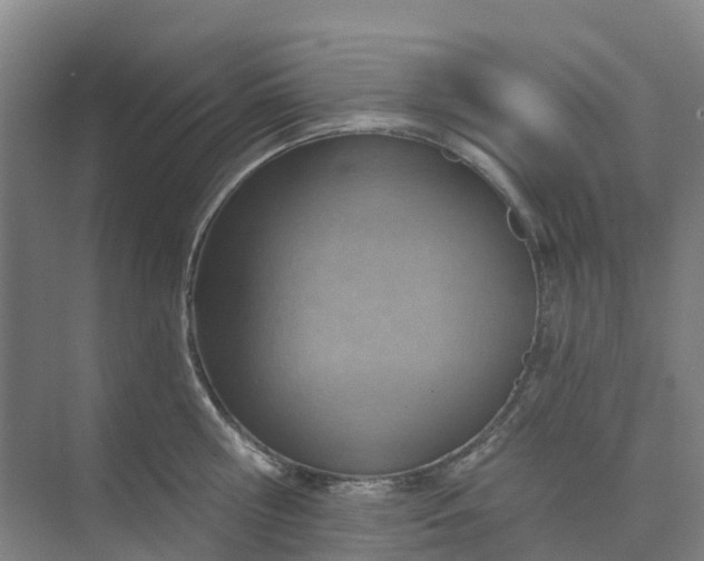 X0000074940810200609152003