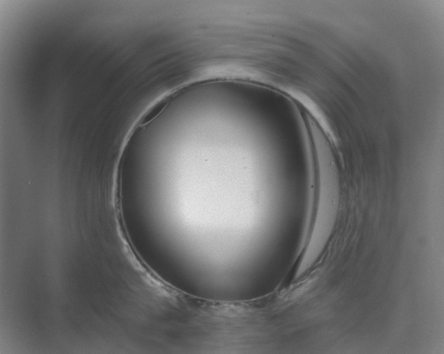 X0000074940815200609152003