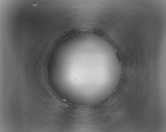 X0000074940817200609152002