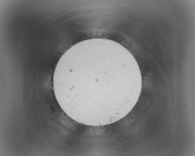 X0000074940820200609152002