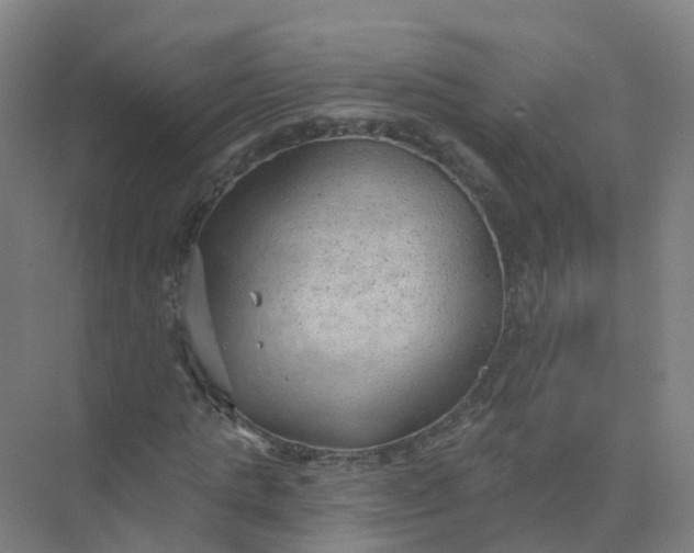 X0000074940821200609152002