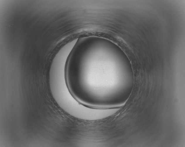 X0000074940822200609152002