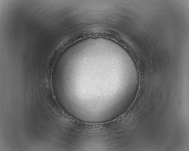 X0000074940823200609152002