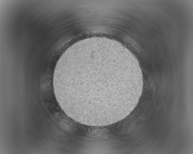 X0000074940824200609152002