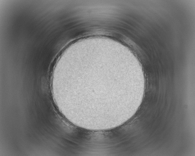 X0000074940828200609152002