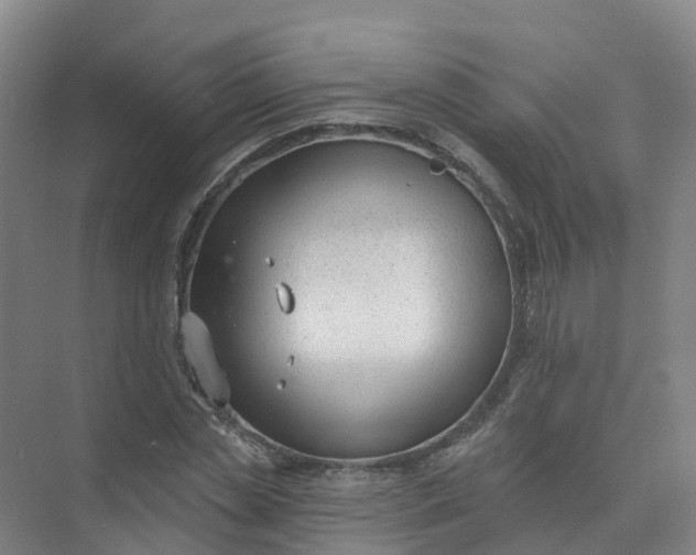 X0000074940829200609152002