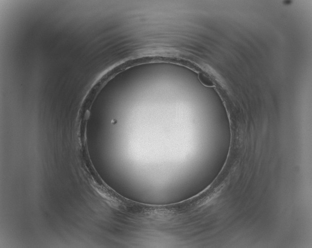 X0000074940830200609152002