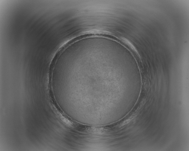 X0000074940831200609152002