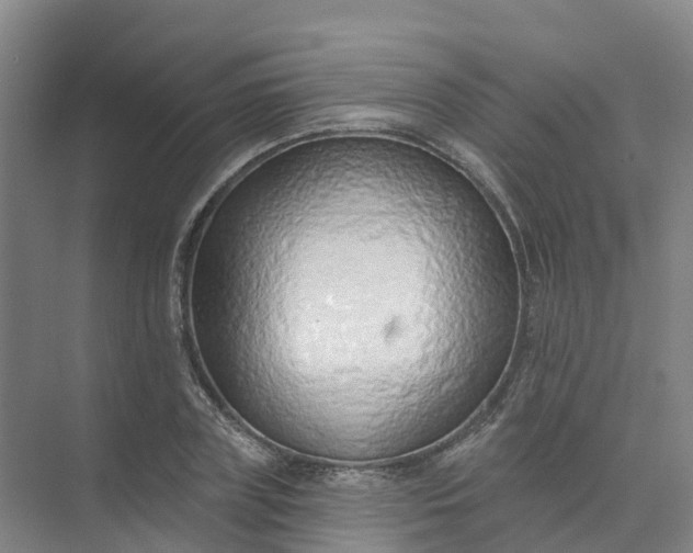 X0000074940835200609152002