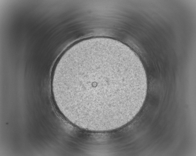 X0000074940836200609152002