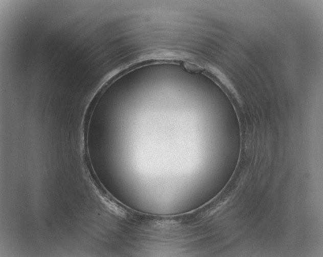 X0000074940837200609152002