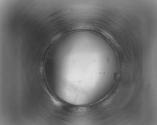 X0000074940841200609152002