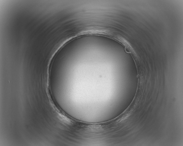 X0000074940844200609152002