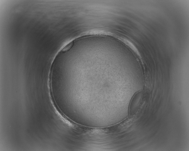 X0000074940847200609152003