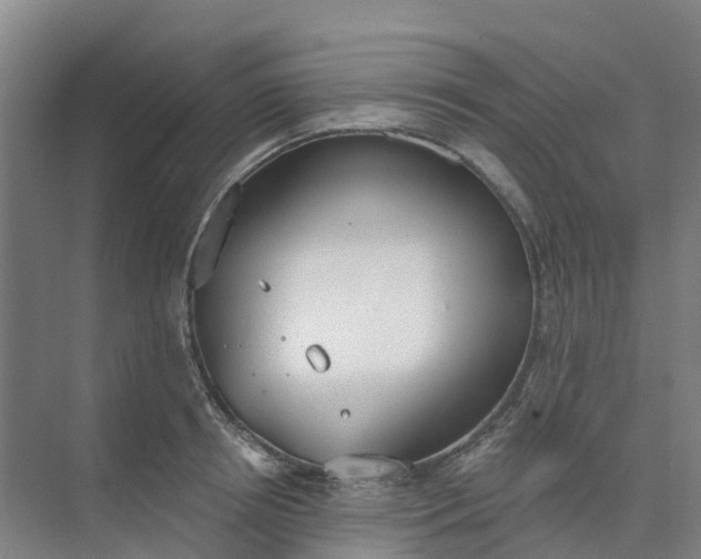 X0000074940850200609152003