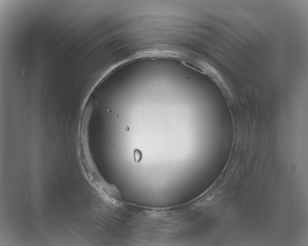 X0000074940852200609152003