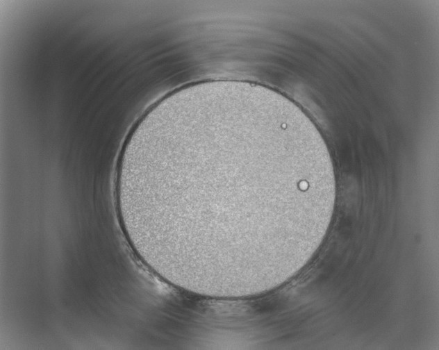 X0000074940856200609152003