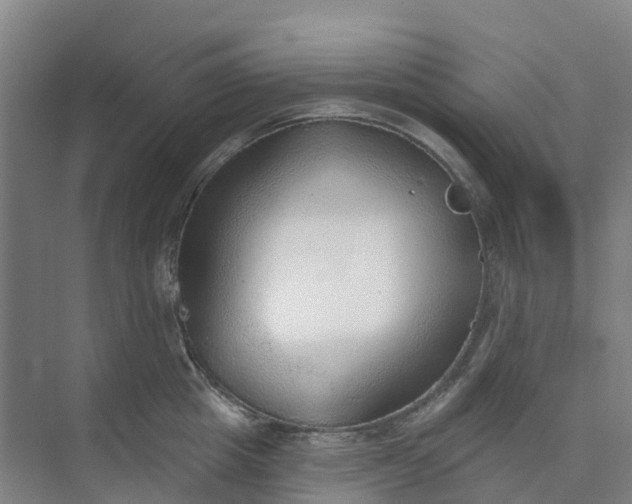 X0000074940857200609152003