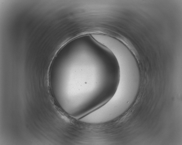 X0000074940858200609152003