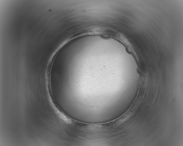 X0000074940859200609152003