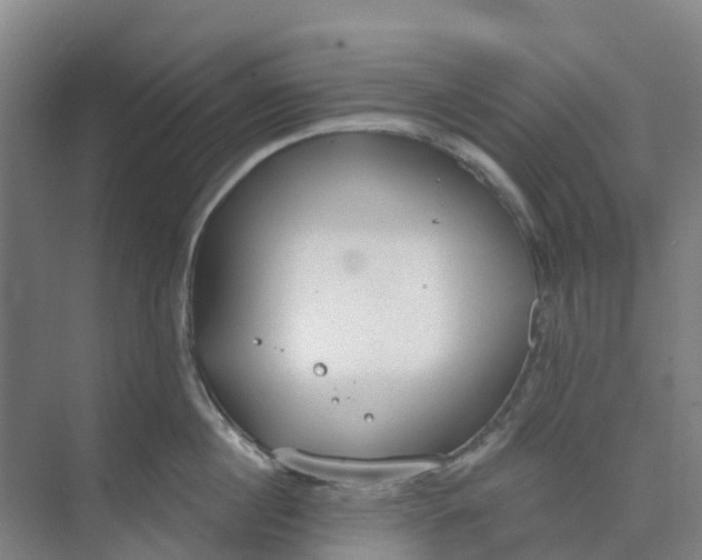 X0000074940860200609152003