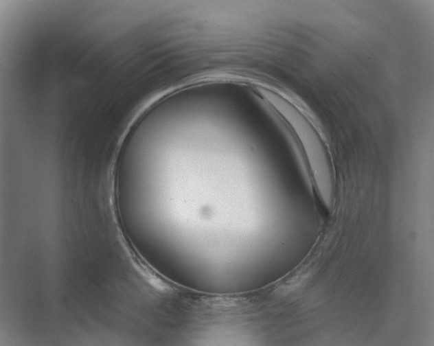 X0000074940862200609152003