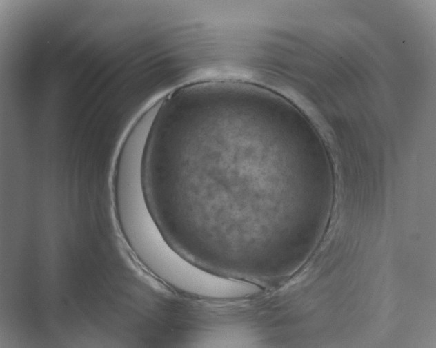 X0000074940864200609152003