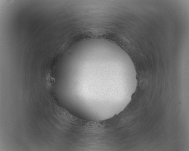 X0000074940866200609152002