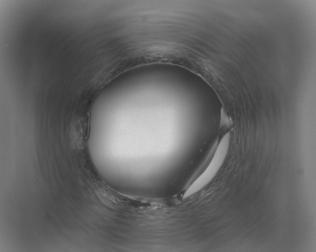 X0000074940868200609152002