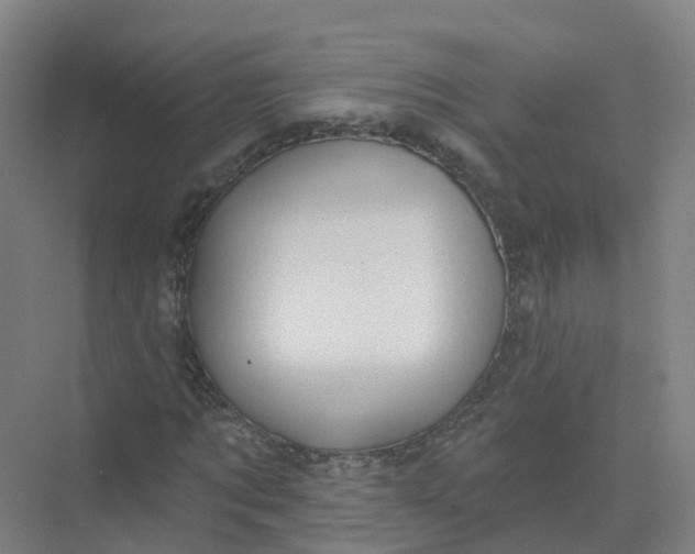 X0000074940869200609152002