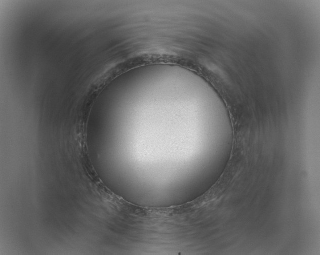 X0000074940870200609152002