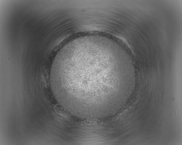 X0000074940871200609152002