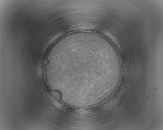 X0000074940874200609152002