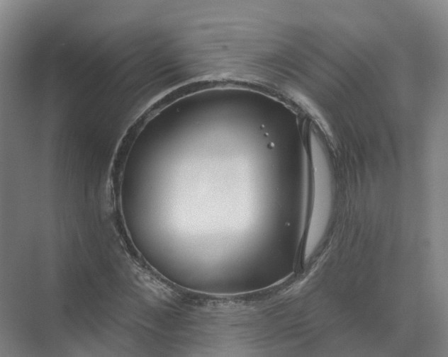 X0000074940876200609152002