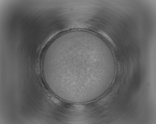 X0000074940878200609152002