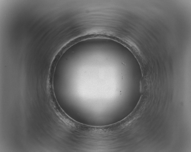 X0000074940880200609152002