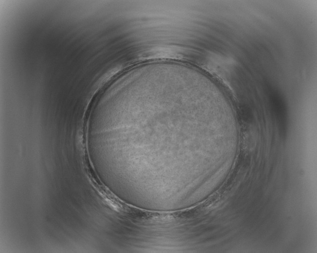 X0000074940882200609152002