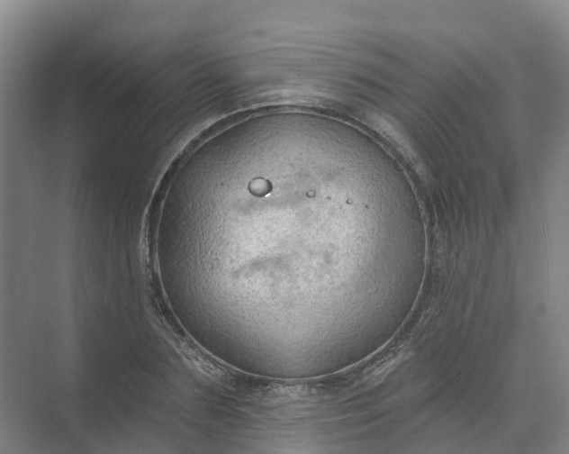 X0000074940883200609152002