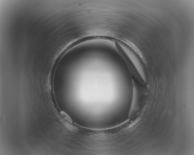 X0000074940885200609152002