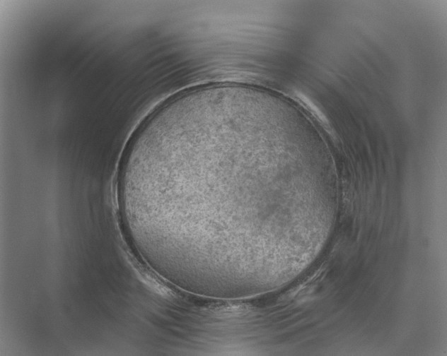 X0000074940891200609152002