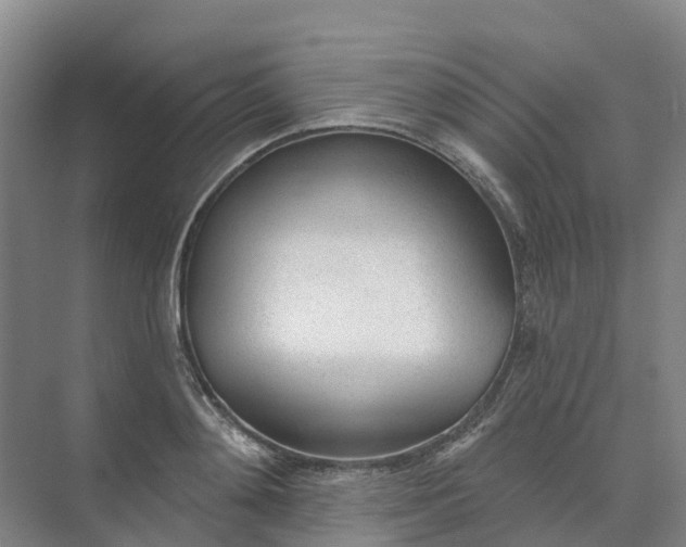 X0000074940892200609152002