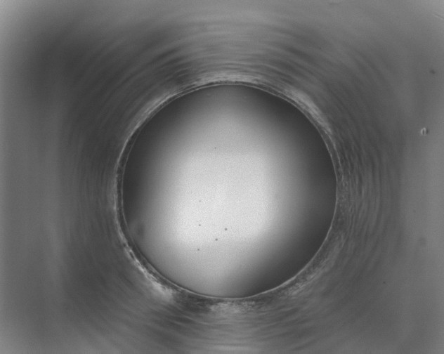 X0000074940898200609152001