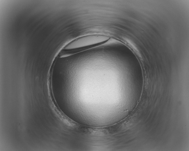 X0000074940899200609152001