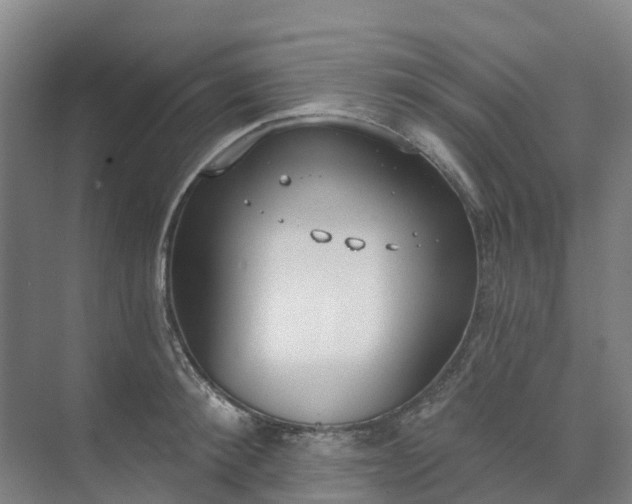 X0000074940900200609152001