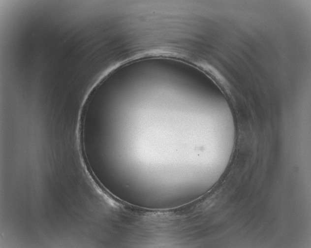 X0000074940902200609152001