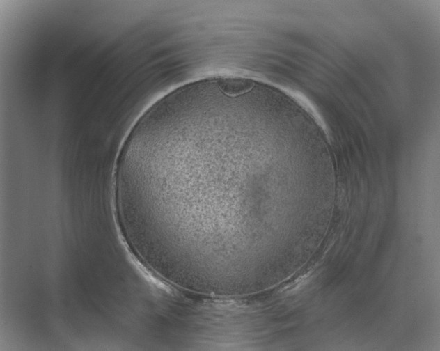 X0000074940903200609152001