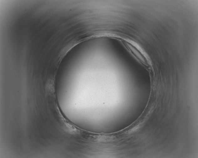 X0000074940905200609152001