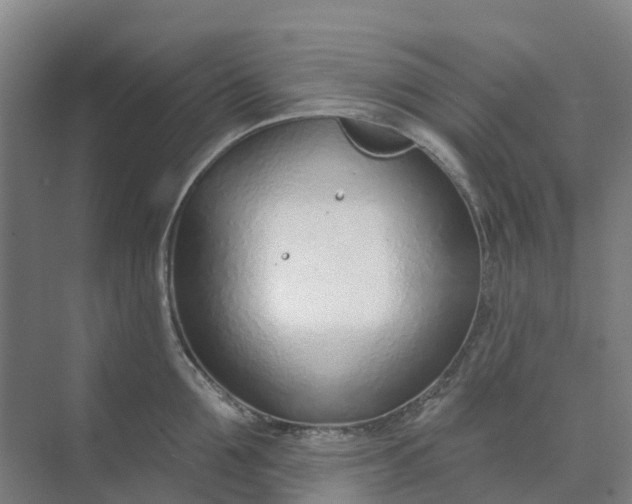 X0000074940907200609152001