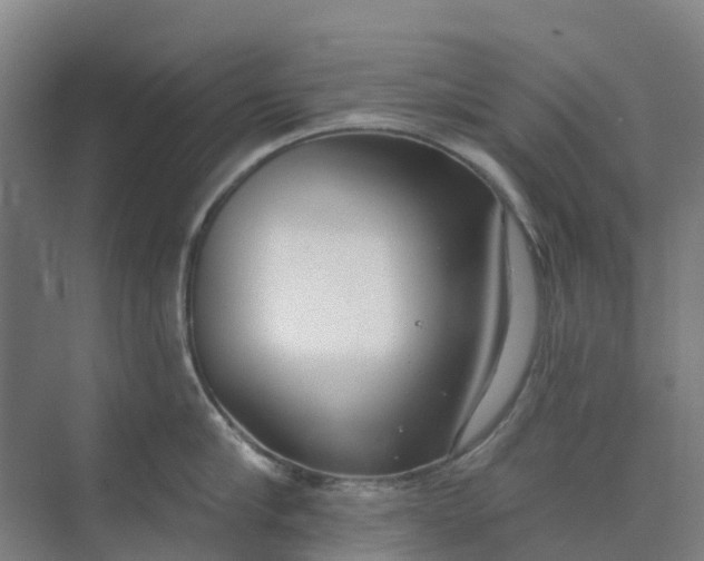 X0000074940910200609152001